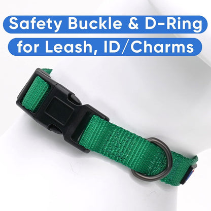 Dog Collar, Adjustable, Heavy Duty, Waterproof, Quick - Release Buckle, Lush Green, Extra Small Breeds - pet needs313111516576Dog Collar, Adjustable, Heavy Duty, Waterproof, Quick - Release Buckle, Lush Green, Extra Small BreedsLush GreenX - Small (Pack Of 1)X - Small (Pack Of 1)pet needs