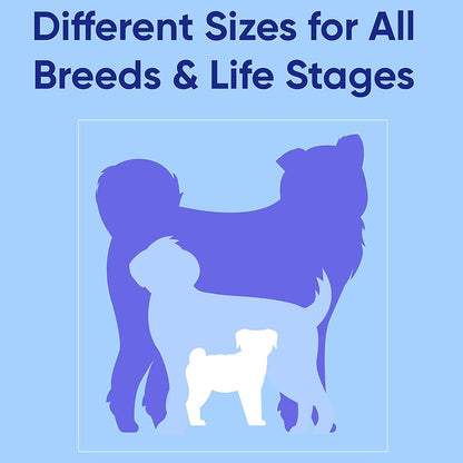 Dog Collar, Adjustable, Heavy Duty, Waterproof, Quick - Release Buckle, Lush Green, Extra Small Breeds - pet needs313111516576Dog Collar, Adjustable, Heavy Duty, Waterproof, Quick - Release Buckle, Lush Green, Extra Small BreedsLush GreenX - Small (Pack Of 1)X - Small (Pack Of 1)pet needs