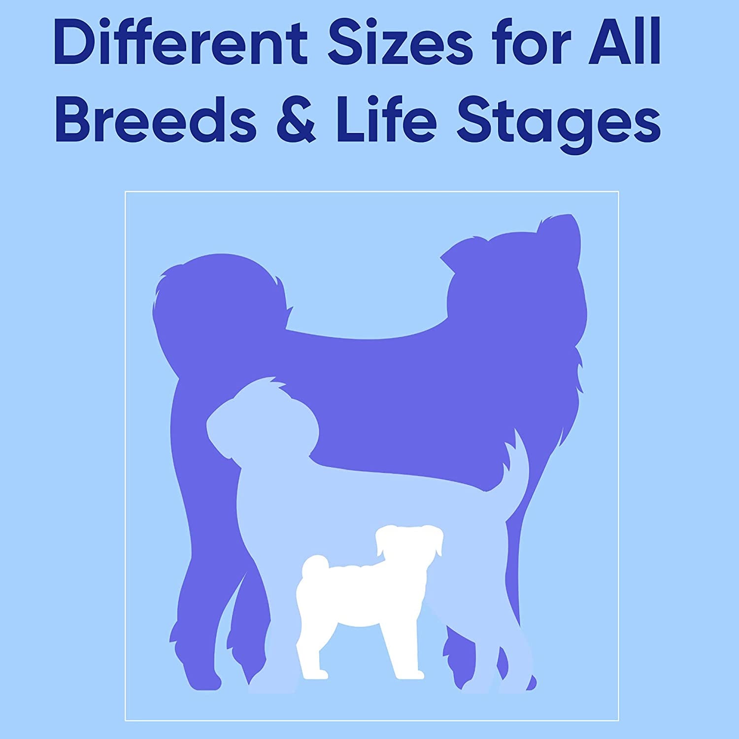 Dog Collar for Large Dogs Adjustable Dog Collar Heavy Duty Waterproof Collars for Dogs with Quick - Release Buckle - Green Dog Collar for Large Breeds - pet needs744759765628Dog Collar for Large Dogs Adjustable Dog Collar Heavy Duty Waterproof Collars for Dogs with Quick - Release Buckle - Green Dog Collar for Large BreedsGreenLarge (Pack Of 1)Large (Pack Of 1)pet needs