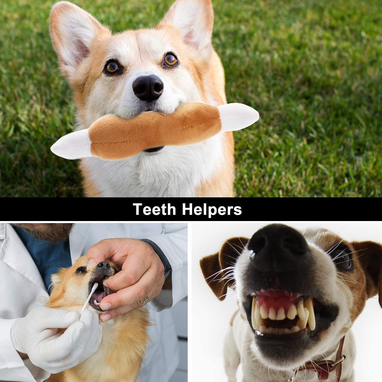 Dog Squeaky Toys, Plush Small Dog Toys for Dogs, Stuffed with Squeakers,12 Pcs Puppy Toys with a Carrying Bag for Small Medium Size - pet needs7445038015023Dog Squeaky Toys, Plush Small Dog Toys for Dogs, Stuffed with Squeakers,12 Pcs Puppy Toys with a Carrying Bag for Small Medium Size12 Pcspet needs