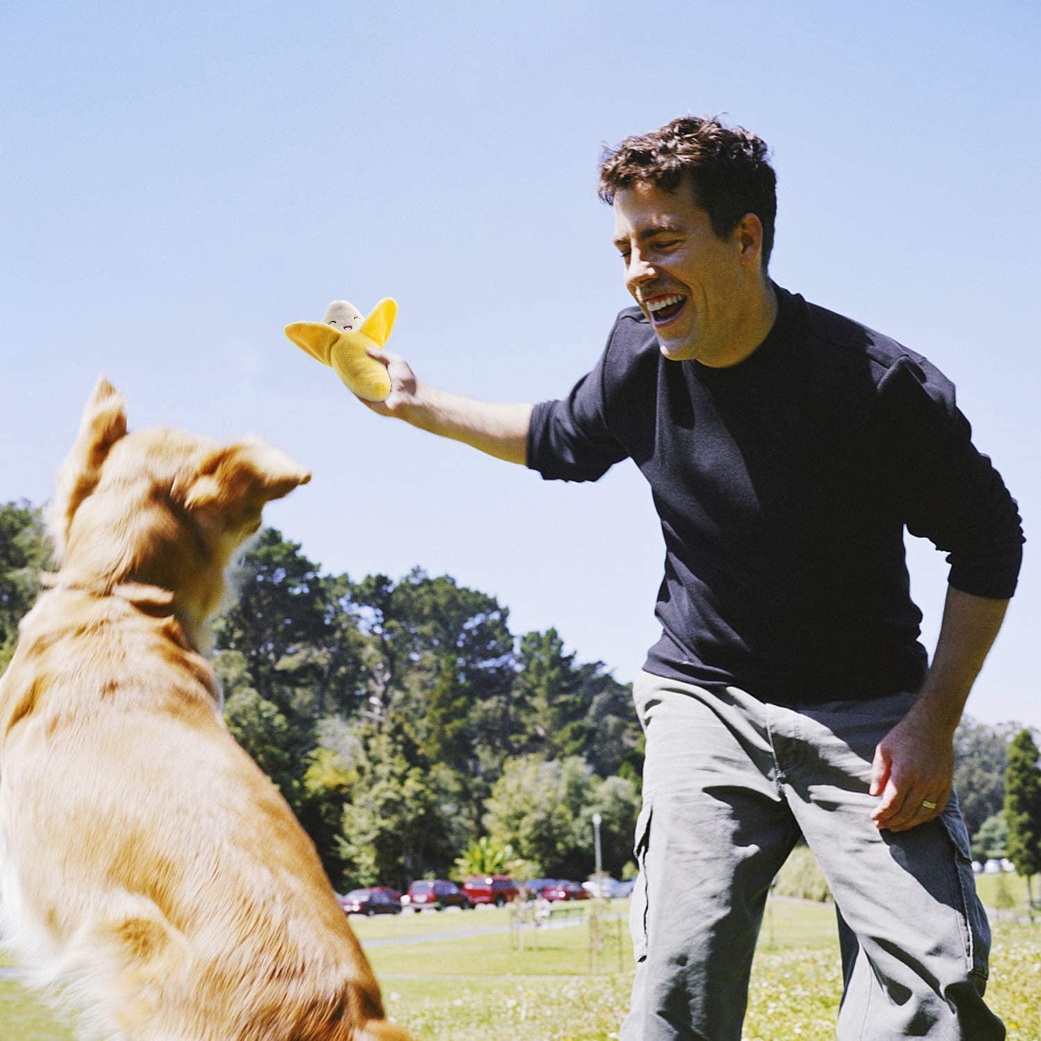 Dog Squeaky Toys, Plush Small Dog Toys for Dogs, Stuffed with Squeakers,12 Pcs Puppy Toys with a Carrying Bag for Small Medium Size - pet needs7445038015023Dog Squeaky Toys, Plush Small Dog Toys for Dogs, Stuffed with Squeakers,12 Pcs Puppy Toys with a Carrying Bag for Small Medium Size12 Pcspet needs