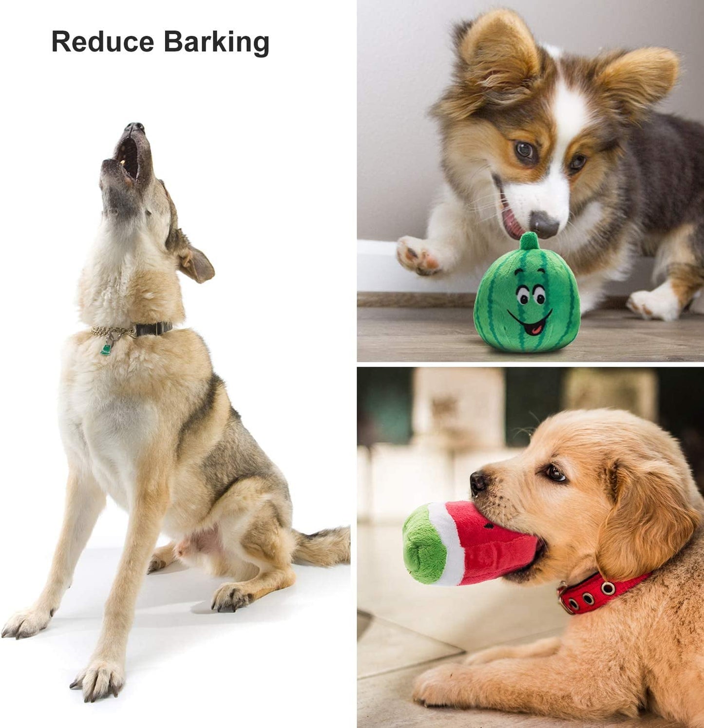 Dog Squeaky Toys, Plush Small Dog Toys for Dogs, Stuffed with Squeakers,12 Pcs Puppy Toys with a Carrying Bag for Small Medium Size - pet needs7445038015023Dog Squeaky Toys, Plush Small Dog Toys for Dogs, Stuffed with Squeakers,12 Pcs Puppy Toys with a Carrying Bag for Small Medium Size12 Pcspet needs