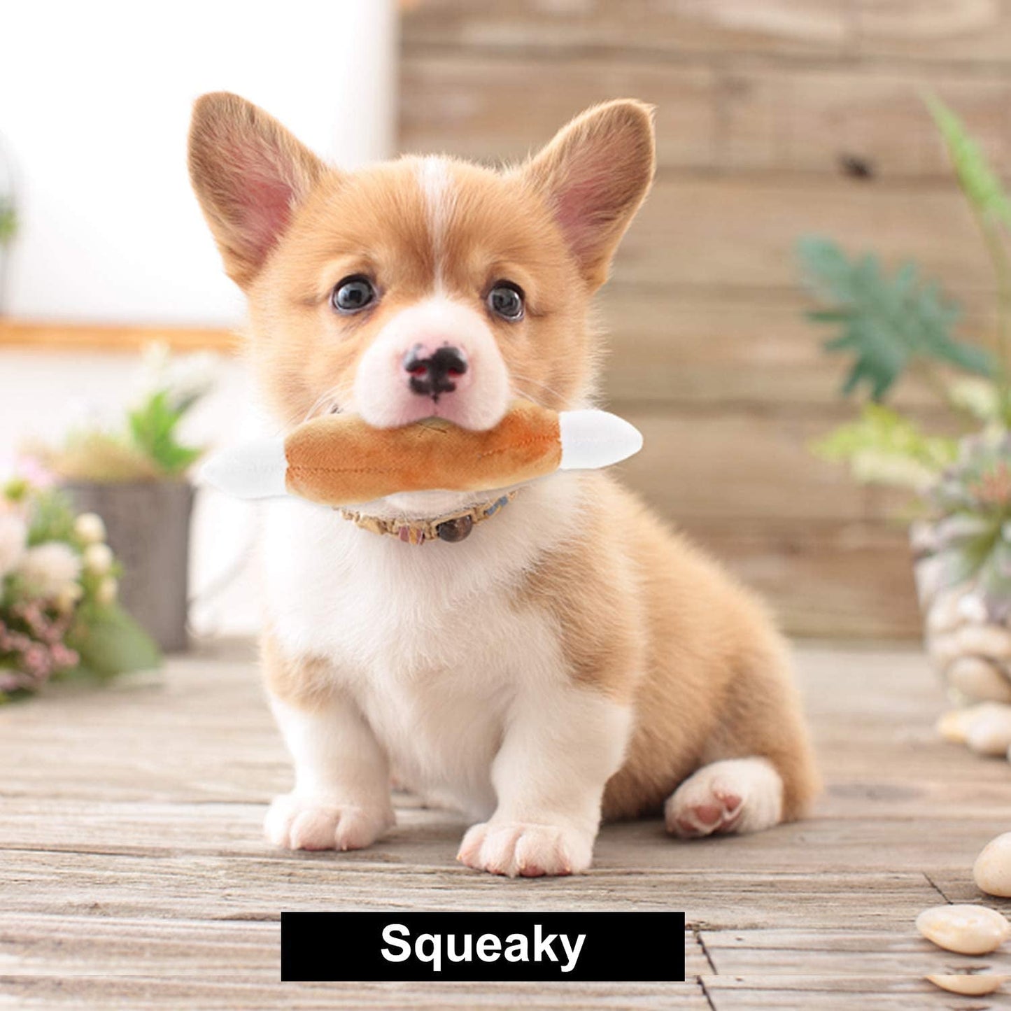 Dog Squeaky Toys, Plush Small Dog Toys for Dogs, Stuffed with Squeakers,12 Pcs Puppy Toys with a Carrying Bag for Small Medium Size - pet needs7445038015023Dog Squeaky Toys, Plush Small Dog Toys for Dogs, Stuffed with Squeakers,12 Pcs Puppy Toys with a Carrying Bag for Small Medium Size12 Pcspet needs