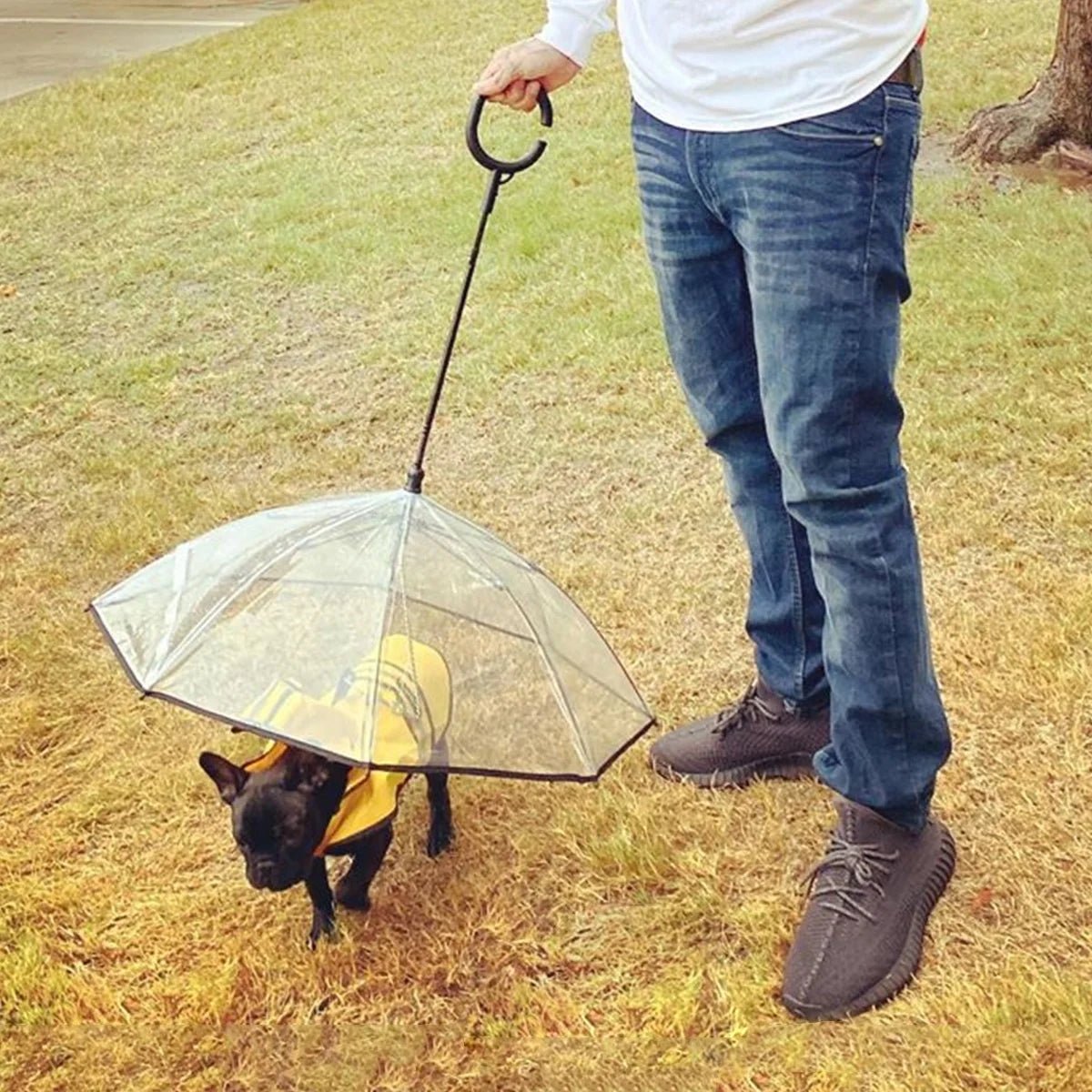 Dog Umbrella, Clear Pet Umbrella Flexible Handle Umbrella for Dog with Rope for Small Pets - pet needs726084477582Dog Umbrella, Clear Pet Umbrella Flexible Handle Umbrella for Dog with Rope for Small Petspet needs