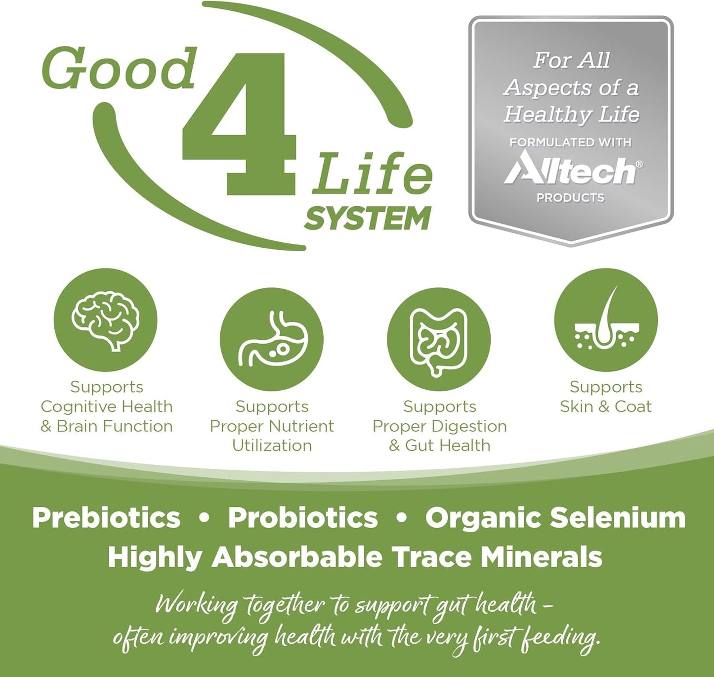 Element Series Coastal Plains Dry Dog Food, Turkey, Salmon, and Whitefish, 24LB - pet needs726084434813Element Series Coastal Plains Dry Dog Food, Turkey, Salmon, and Whitefish, 24LBCoastal Plains24 Pound (Pack Of 1)24 Pound (Pack Of 1)pet needs