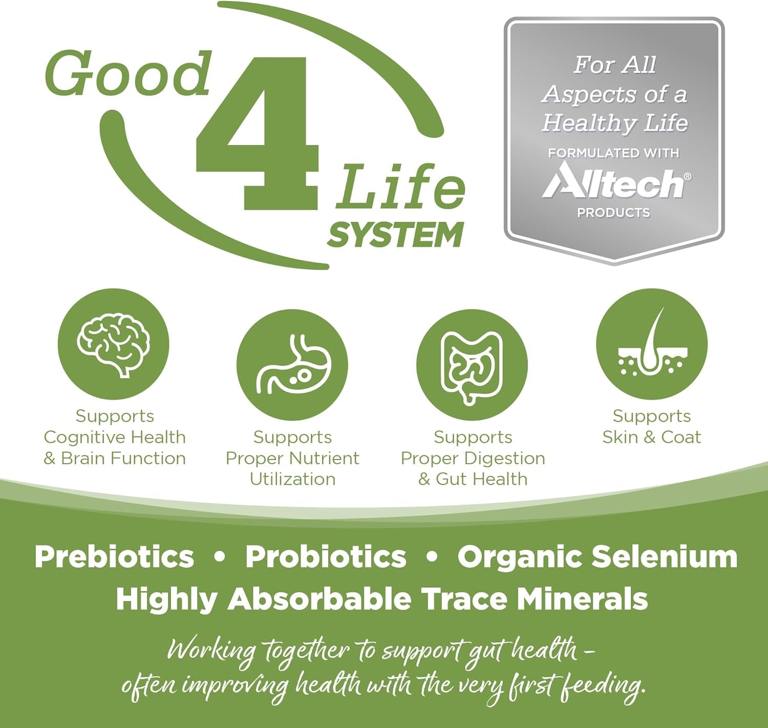 Element Series Coastal Plains Dry Dog Food, Turkey, Salmon, and Whitefish, 24LB - pet needs726084434813Element Series Coastal Plains Dry Dog Food, Turkey, Salmon, and Whitefish, 24LBCoastal Plains24 Pound (Pack Of 1)24 Pound (Pack Of 1)pet needs