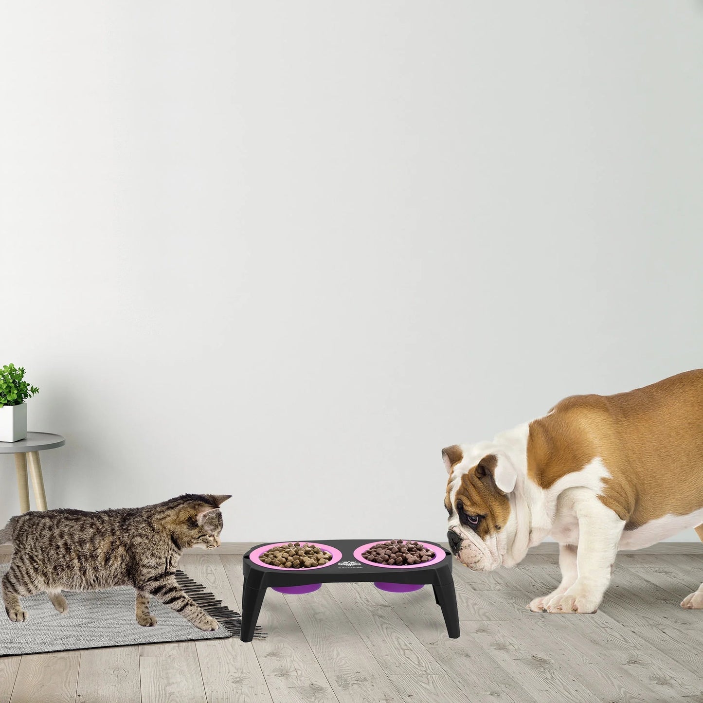 Elevated Pet Food Bowls with Non - Slip Collapsible Stand (Pink) - pet needs726084506848Elevated Pet Food Bowls with Non - Slip Collapsible Stand (Pink)pet needs