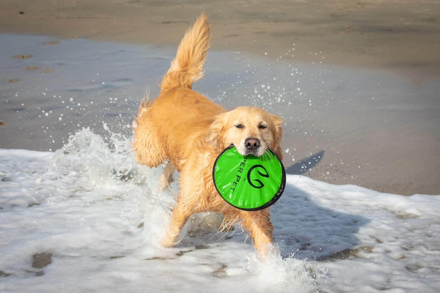 Flippy Flopper 9" Flying Disc Soft Dog Toy, Floats in Water & Safe on Teeth, for All Breeds, Pack of 5 (Colors May Vary) - pet needs7445031919939Flippy Flopper 9" Flying Disc Soft Dog Toy, Floats in Water & Safe on Teeth, for All Breeds, Pack of 5 (Colors May Vary)Multi - Color9" Pack Of 59" Pack Of 5pet needs