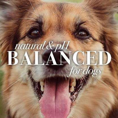 for Pets Multipurpose Dog Wipes with with Honey, 98% Natural Origin Formulas, Hypoallergenic Dog Wipes Cleaning, Dog Cleaning Wipes, Dog Wipes for Paws and Butt, 50Ct - pet needs313052440480for Pets Multipurpose Dog Wipes with with Honey, 98% Natural Origin Formulas, Hypoallergenic Dog Wipes Cleaning, Dog Cleaning Wipes, Dog Wipes for Paws and Butt, 50Ctpet needs