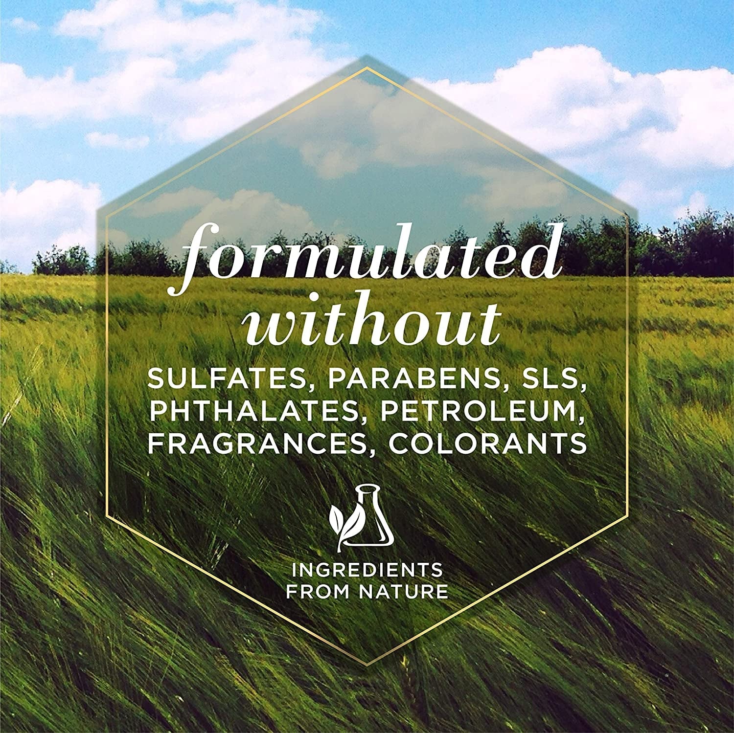 for Pets Multipurpose Dog Wipes with with Honey, 98% Natural Origin Formulas, Hypoallergenic Dog Wipes Cleaning, Dog Cleaning Wipes, Dog Wipes for Paws and Butt, 50Ct - pet needs313052440480for Pets Multipurpose Dog Wipes with with Honey, 98% Natural Origin Formulas, Hypoallergenic Dog Wipes Cleaning, Dog Cleaning Wipes, Dog Wipes for Paws and Butt, 50Ctpet needs