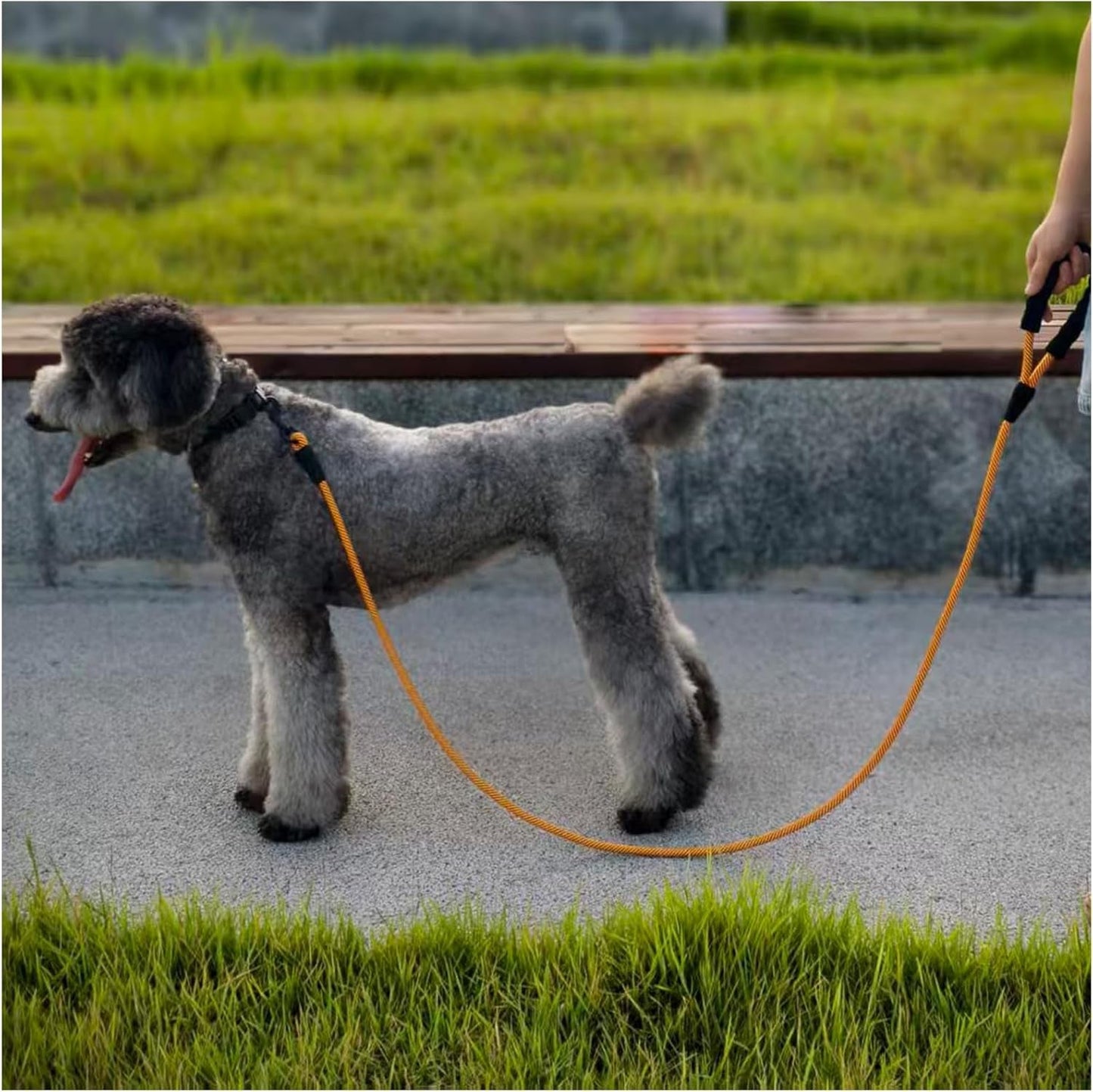 Heavy Duty Rope Dog Leash, 6 FT Nylon Pet Leash, Soft Padded Handle Thick Lead Leashes for Large Medium Dogs (Orange, 1/2" X 6Ft) - pet needs744759933874Heavy Duty Rope Dog Leash, 6 FT Nylon Pet Leash, Soft Padded Handle Thick Lead Leashes for Large Medium Dogs (Orange, 1/2" X 6Ft)Orange1/2" * 6'1/2" * 6'pet needs