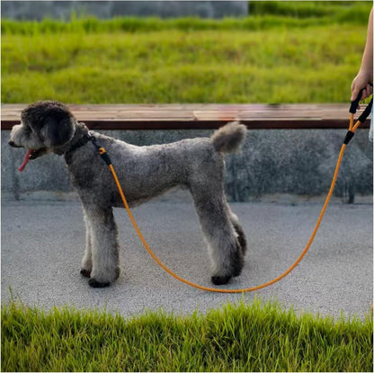 Heavy Duty Rope Dog Leash, 6 FT Nylon Pet Leash, Soft Padded Handle Thick Lead Leashes for Large Medium Dogs (Orange, 1/2" X 6Ft) - pet needs744759933874Heavy Duty Rope Dog Leash, 6 FT Nylon Pet Leash, Soft Padded Handle Thick Lead Leashes for Large Medium Dogs (Orange, 1/2" X 6Ft)Orange1/2" * 6'1/2" * 6'pet needs