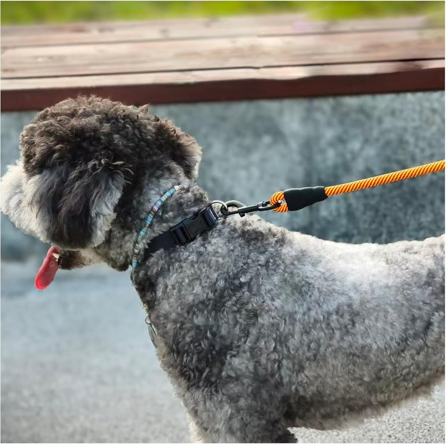 Heavy Duty Rope Dog Leash, 6 FT Nylon Pet Leash, Soft Padded Handle Thick Lead Leashes for Large Medium Dogs (Orange, 1/2" X 6Ft) - pet needs744759933874Heavy Duty Rope Dog Leash, 6 FT Nylon Pet Leash, Soft Padded Handle Thick Lead Leashes for Large Medium Dogs (Orange, 1/2" X 6Ft)Orange1/2" * 6'1/2" * 6'pet needs