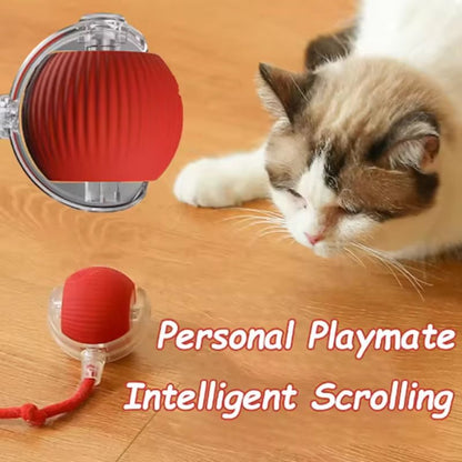 Hot Cat Toys Are Automatically Teasing Cat Balls and Self - Exciting Cat Sticks and Ticks and Resistant to Wear and Bite Pet Toys - pet needs7445026217293Hot Cat Toys Are Automatically Teasing Cat Balls and Self - Exciting Cat Sticks and Ticks and Resistant to Wear and Bite Pet ToysRed Ropepet needs