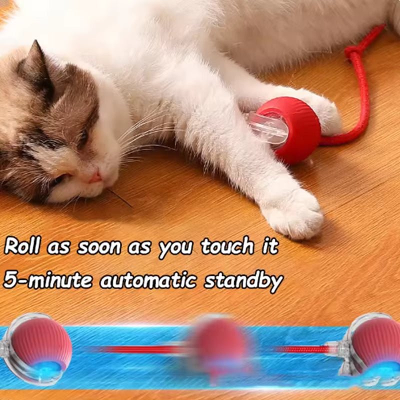 Hot Cat Toys Are Automatically Teasing Cat Balls and Self - Exciting Cat Sticks and Ticks and Resistant to Wear and Bite Pet Toys - pet needs7445026217293Hot Cat Toys Are Automatically Teasing Cat Balls and Self - Exciting Cat Sticks and Ticks and Resistant to Wear and Bite Pet ToysRed Ropepet needs