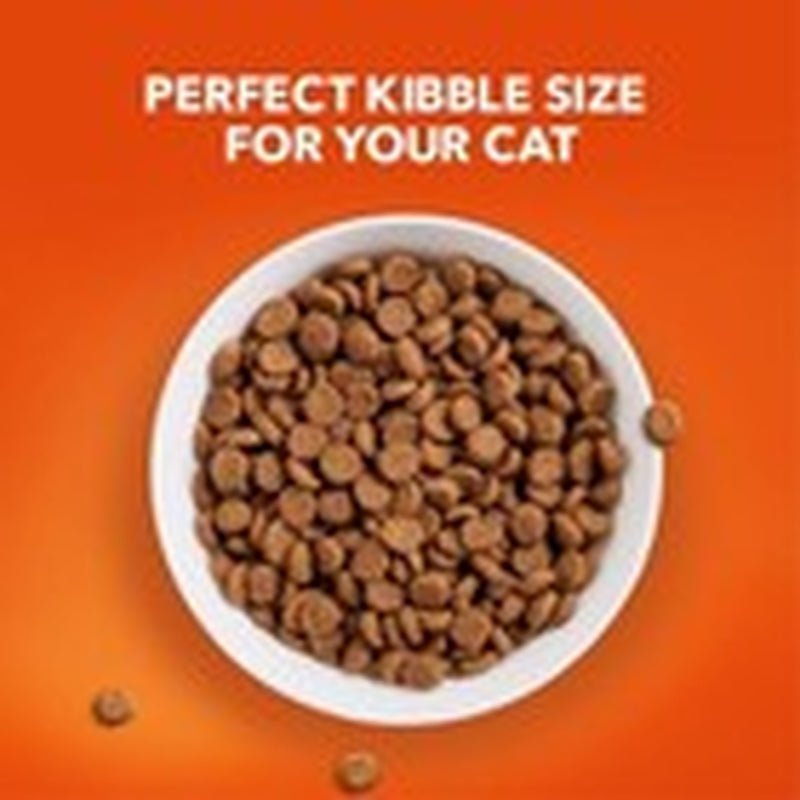 IAMS Proactive Health 16 Lb Healthy Senior Dry Cat Food with Chicken - pet needs313096721767IAMS Proactive Health 16 Lb Healthy Senior Dry Cat Food with Chickenpet needs
