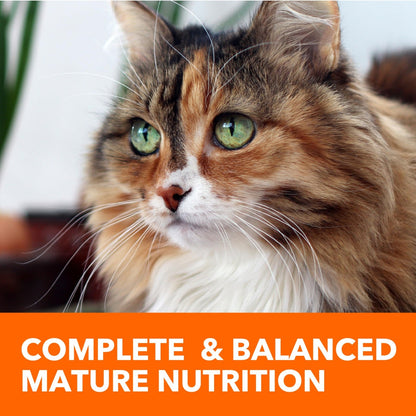 IAMS Proactive Health 16 Lb Healthy Senior Dry Cat Food with Chicken - pet needs313096721767IAMS Proactive Health 16 Lb Healthy Senior Dry Cat Food with Chickenpet needs
