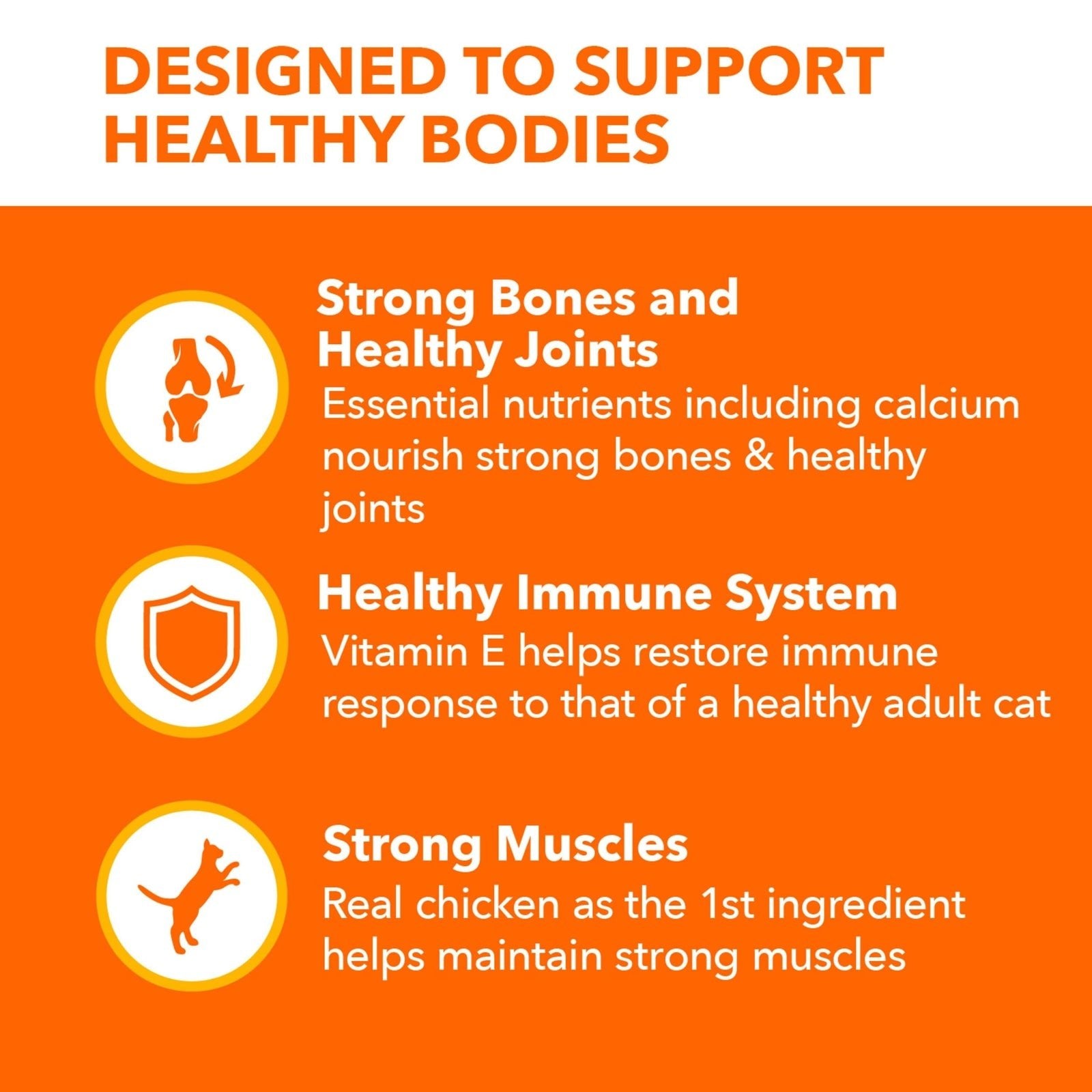 IAMS Proactive Health 16 Lb Healthy Senior Dry Cat Food with Chicken - pet needs313096721767IAMS Proactive Health 16 Lb Healthy Senior Dry Cat Food with Chickenpet needs