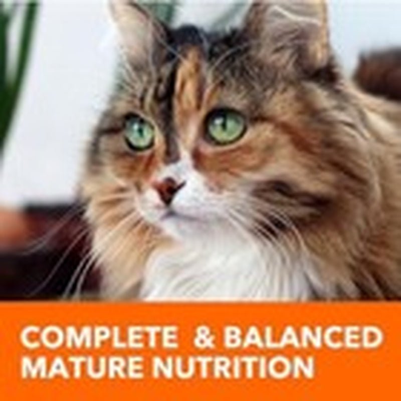 IAMS Proactive Health 16 Lb Healthy Senior Dry Cat Food with Chicken - pet needs313096721767IAMS Proactive Health 16 Lb Healthy Senior Dry Cat Food with Chickenpet needs