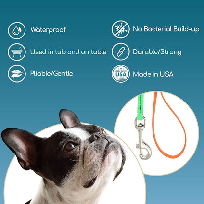 Jelly Pet Grooming Lead for Dogs | Great for Kennels, Veterinarians and Dog Grooming Salons | Biothane Leash - Easy to Clean, Waterproof & Durable Noose Loop | Made in USA | 3/8'' X 4' - pet needs7445049532571Jelly Pet Grooming Lead for Dogs | Great for Kennels, Veterinarians and Dog Grooming Salons | Biothane Leash - Easy to Clean, Waterproof & Durable Noose Loop | Made in USA | 3/8'' X 4'Purple3/8 X 43/8 X 4pet needs