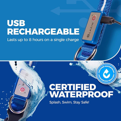 Light up Dog Collar - the Original LED Dog Collar - USB Rechargeable - Waterproof - 1,000 Feet of Visibility - Dog Collar Light for Small, Medium, Large Dogs - USA Brand - pet needs7445020076087Light up Dog Collar - the Original LED Dog Collar - USB Rechargeable - Waterproof - 1,000 Feet of Visibility - Dog Collar Light for Small, Medium, Large Dogs - USA BrandGreenLarge (Pack Of 1)Large (Pack Of 1)pet needs