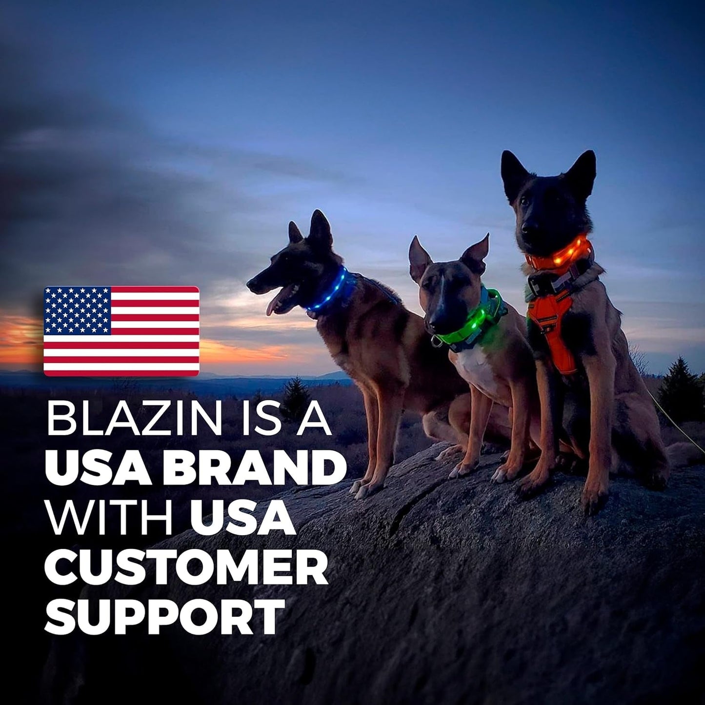 Light up Dog Collar - the Original LED Dog Collar - USB Rechargeable - Waterproof - 1,000 Feet of Visibility - Dog Collar Light for Small, Medium, Large Dogs - USA Brand - pet needs7445020076087Light up Dog Collar - the Original LED Dog Collar - USB Rechargeable - Waterproof - 1,000 Feet of Visibility - Dog Collar Light for Small, Medium, Large Dogs - USA BrandGreenLarge (Pack Of 1)Large (Pack Of 1)pet needs