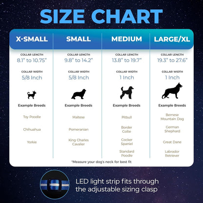 Light up Dog Collar - the Original LED Dog Collar - USB Rechargeable - Waterproof - 1,000 Feet of Visibility - Dog Collar Light for Small, Medium, Large Dogs - USA Brand - pet needs7445020076087Light up Dog Collar - the Original LED Dog Collar - USB Rechargeable - Waterproof - 1,000 Feet of Visibility - Dog Collar Light for Small, Medium, Large Dogs - USA BrandGreenLarge (Pack Of 1)Large (Pack Of 1)pet needs