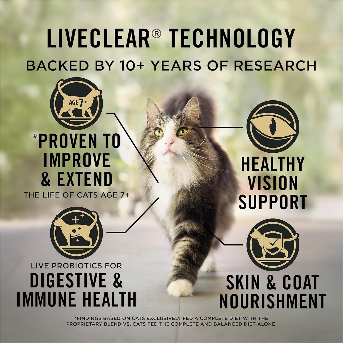 Liveclear Senior Cat Food 7+ Cat Allergen Reducer Prime plus Chicken and Rice Formula - 5.5 Lb. Bag - pet needs313042285244Liveclear Senior Cat Food 7+ Cat Allergen Reducer Prime plus Chicken and Rice Formula - 5.5 Lb. BagChicken Rice5.5 Pound (Pack Of 1)5.5 Pound (Pack Of 1)pet needs