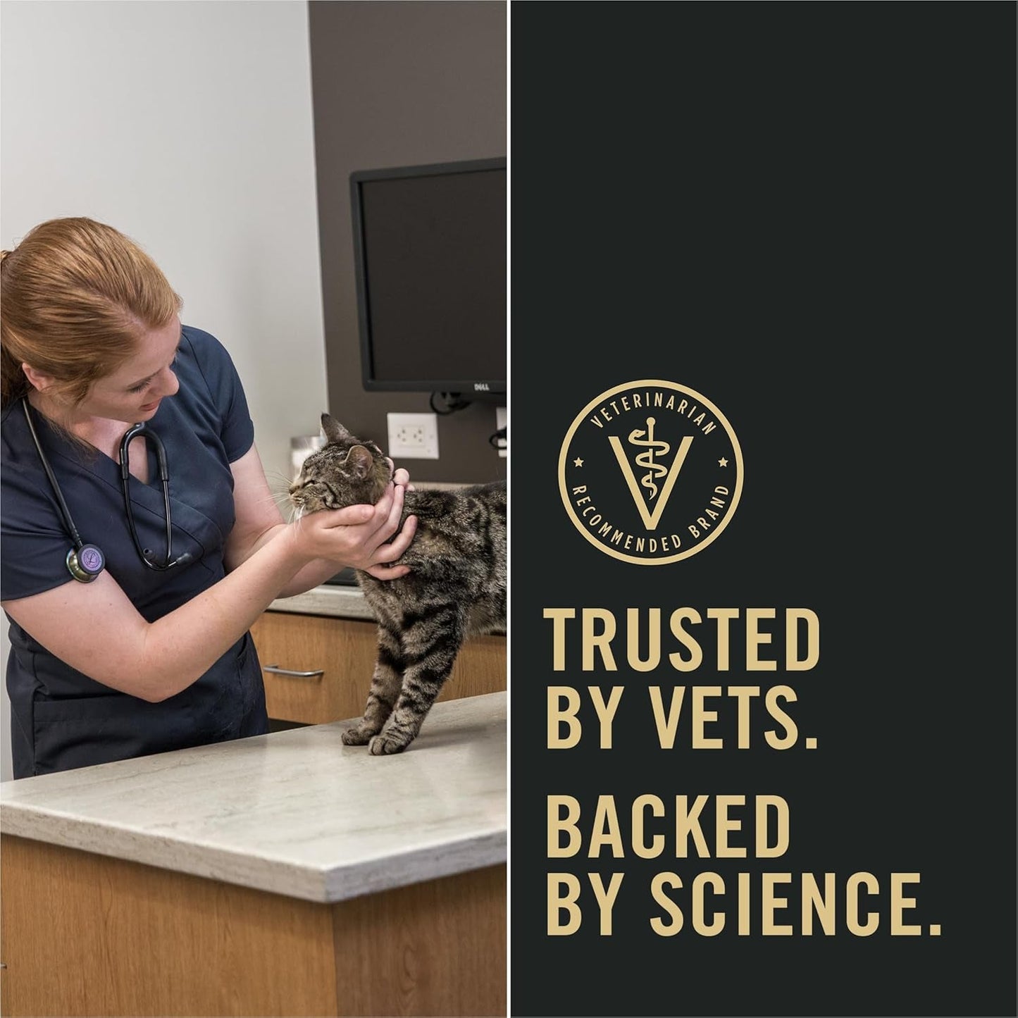 Liveclear Senior Cat Food 7+ Cat Allergen Reducer Prime plus Chicken and Rice Formula - 5.5 Lb. Bag - pet needs313042285244Liveclear Senior Cat Food 7+ Cat Allergen Reducer Prime plus Chicken and Rice Formula - 5.5 Lb. BagChicken Rice5.5 Pound (Pack Of 1)5.5 Pound (Pack Of 1)pet needs