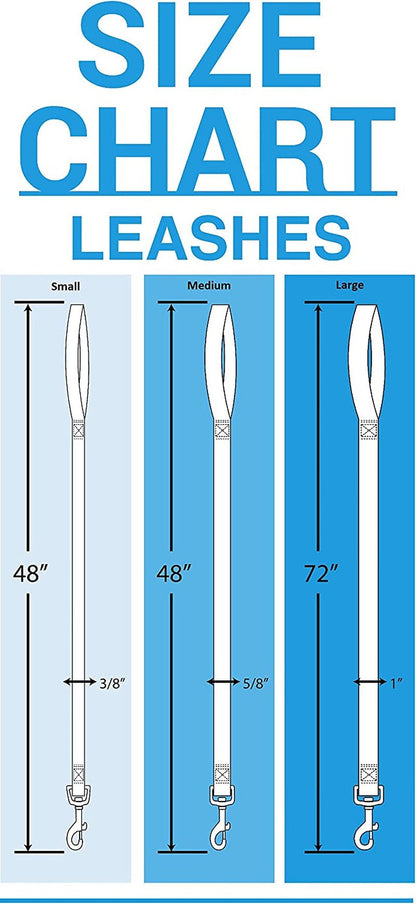 MLB PET Leash, Small, Tampa Bay Rays Dog Leash, Baseball Team Leash for Dogs & Cats. a Shiny & Colorful Dog & Cat Leash with Emboridered Team Name/Logo Licensed by the MLB - pet needs313040369359MLB PET Leash, Small, Tampa Bay Rays Dog Leash, Baseball Team Leash for Dogs & Cats. a Shiny & Colorful Dog & Cat Leash with Emboridered Team Name/Logo Licensed by the MLBTampa Bay RaysSmallSmallpet needs