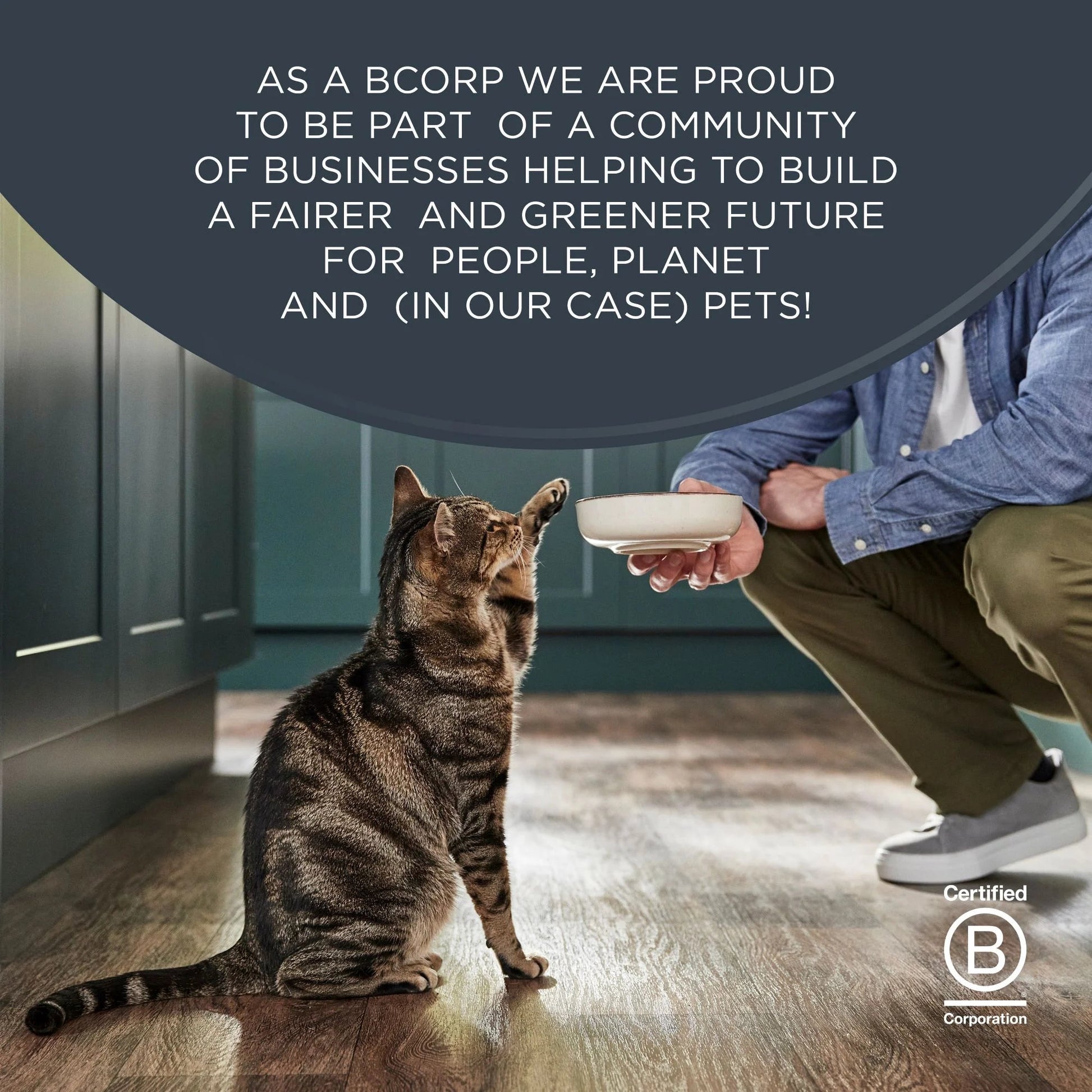 , Natural Wet Cat Food, Fish in Broth Variety Pack, 2.47Oz Can - pet needs711181589252, Natural Wet Cat Food, Fish in Broth Variety Pack, 2.47Oz Canpet needs