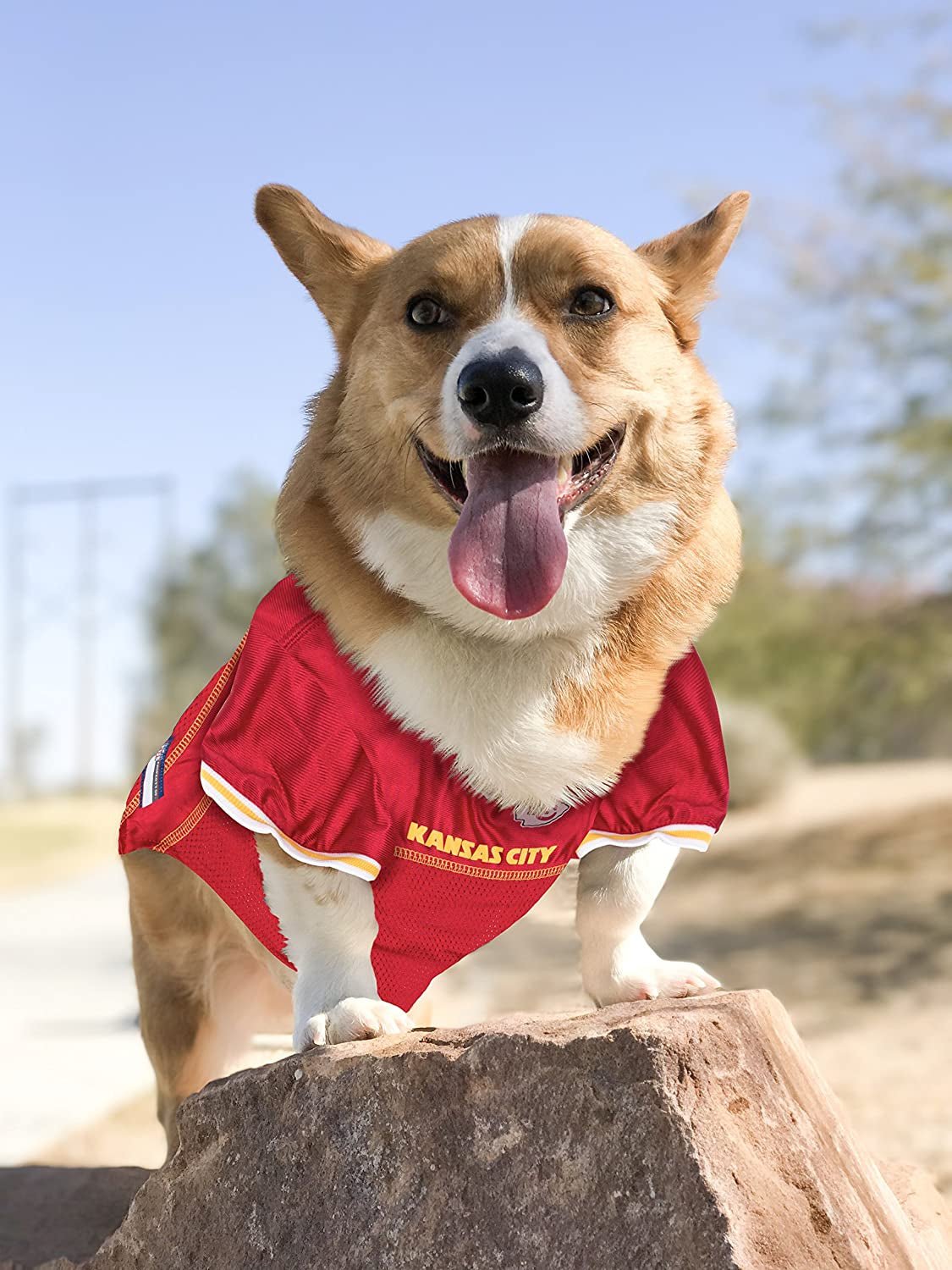NFL Kansas City Chiefs Dog Jersey - Medium, Football Jersey Costume for Dogs - pet needs7445042781778NFL Kansas City Chiefs Dog Jersey - Medium, Football Jersey Costume for DogsKansas City ChiefsMediumMediumpet needs