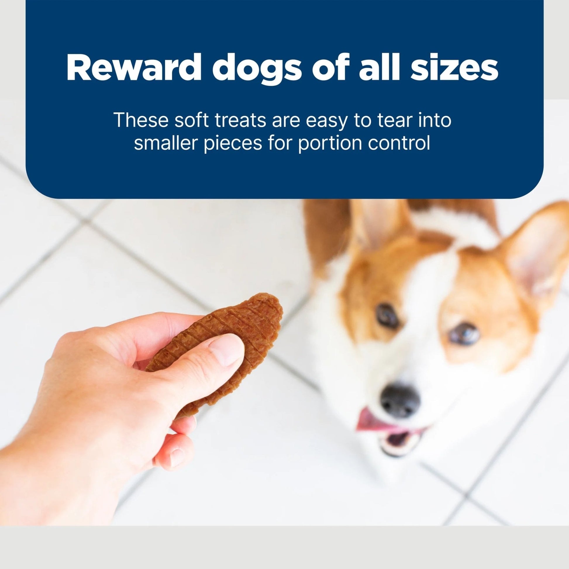 Nudges Jerky Cuts Dog Treats Made with Real Chicken, 36 - Oz. Bag - pet needs313036571537Nudges Jerky Cuts Dog Treats Made with Real Chicken, 36 - Oz. Bag36 Oz11pet needs