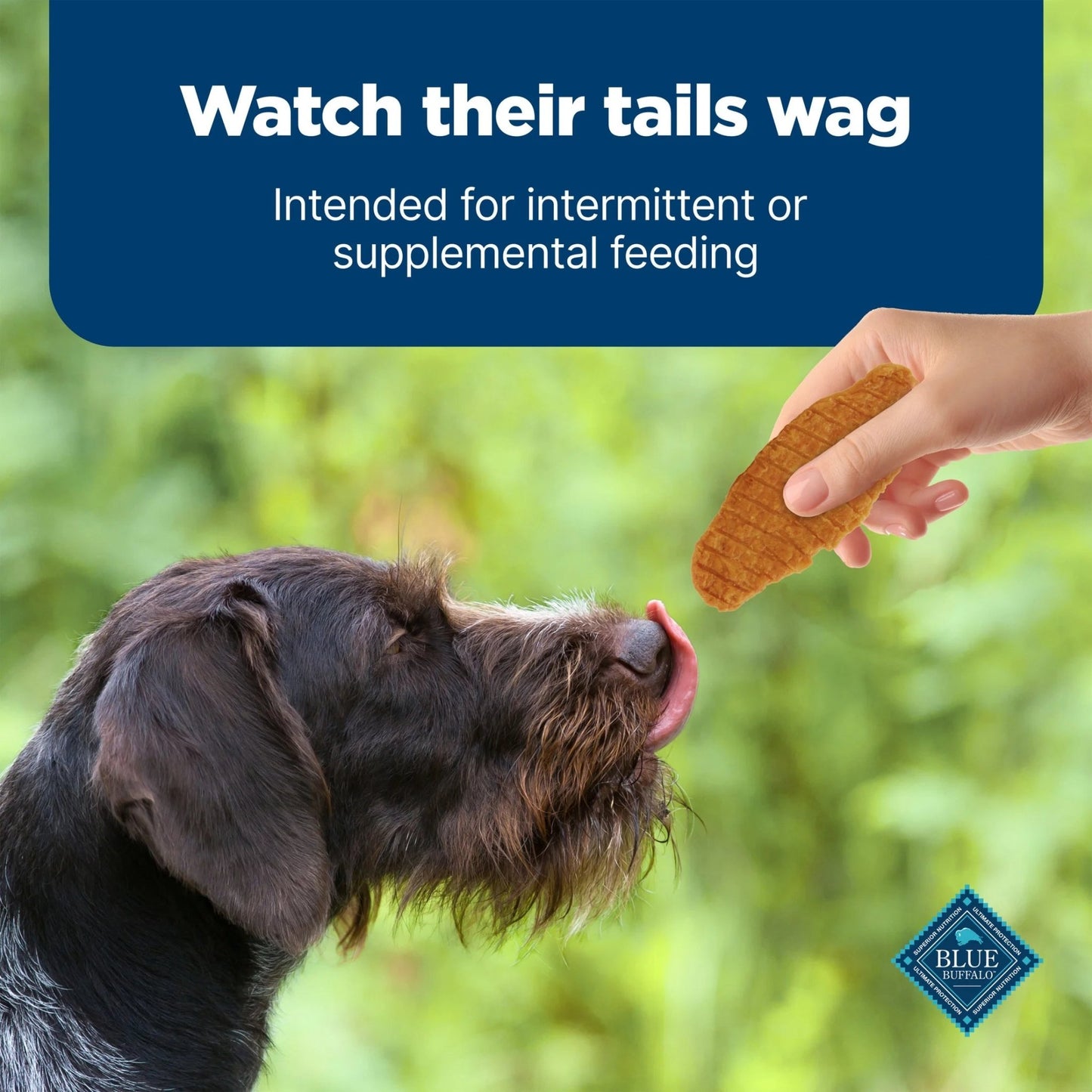 Nudges Jerky Cuts Dog Treats Made with Real Chicken, 36 - Oz. Bag - pet needs313036571537Nudges Jerky Cuts Dog Treats Made with Real Chicken, 36 - Oz. Bag36 Oz11pet needs