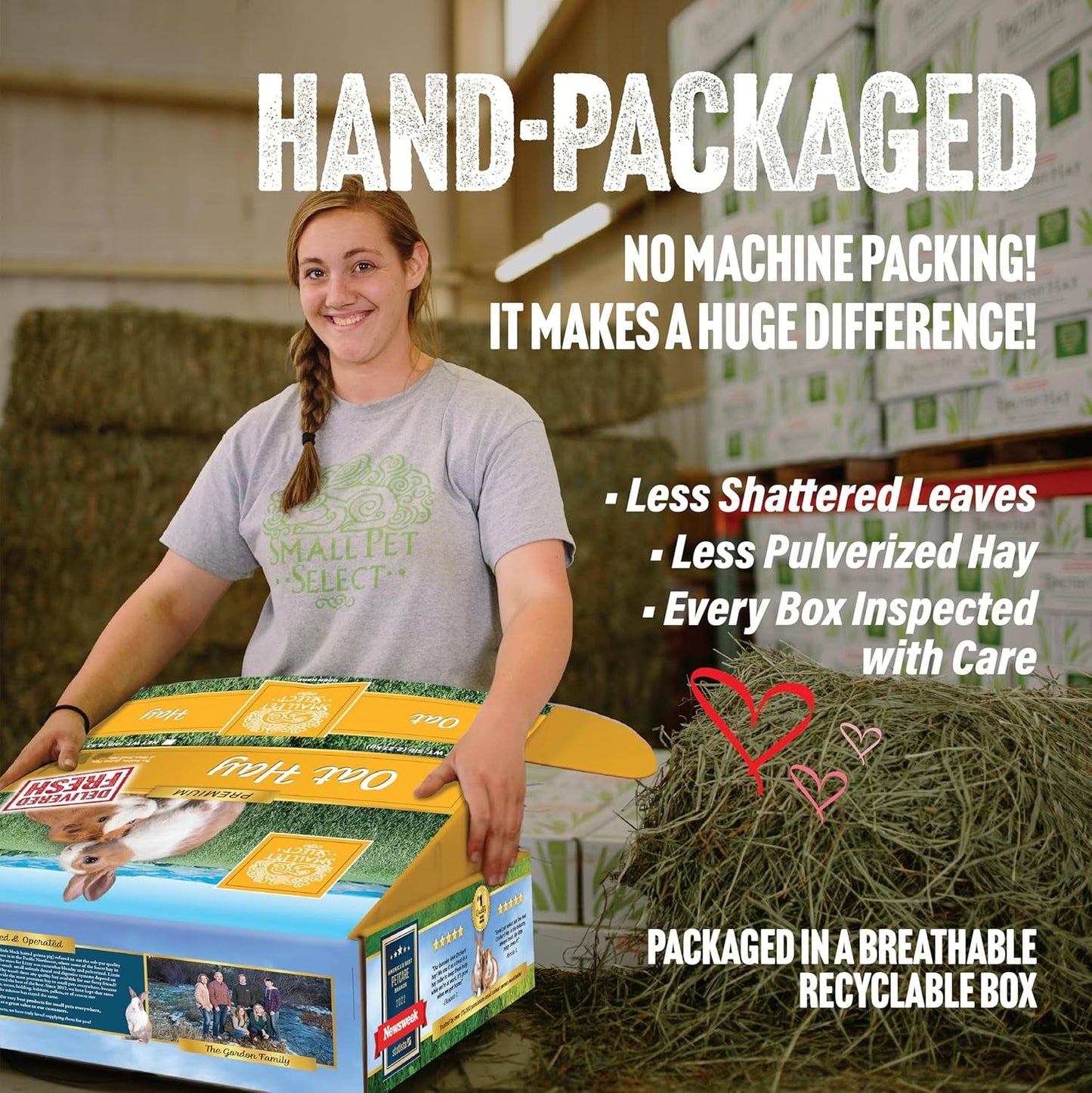 Oat Hay Pet Food, 2 Lb. - pet needs313090276225Oat Hay Pet Food, 2 Lb.2 Pound (Pack Of 1)pet needs