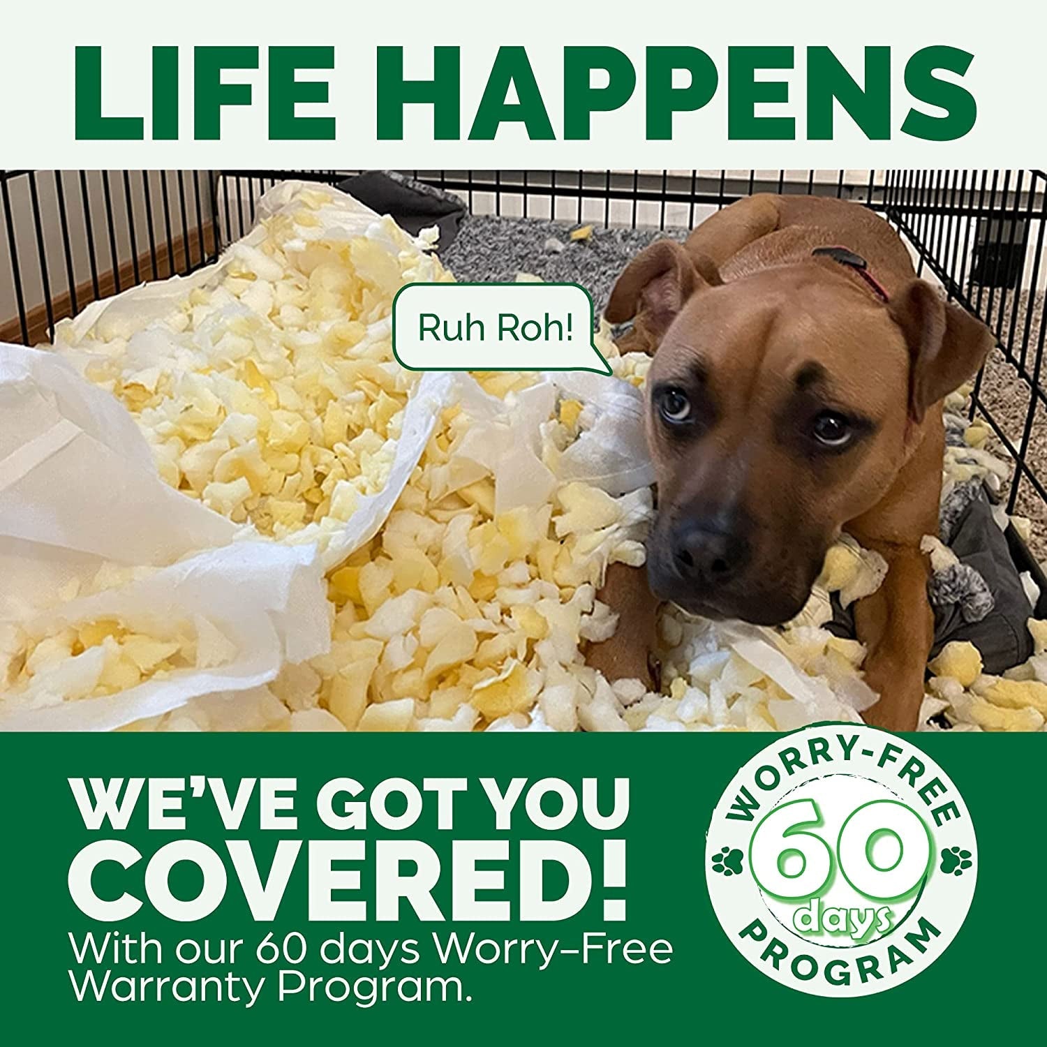 Orthopedic Dog Bed for Large Dogs W/ Removable Bolsters & Washable Cover, for Dogs up to 95 Lbs - Plush & Suede Sofa - Almondine, Jumbo/Xl - pet needs313105435456Orthopedic Dog Bed for Large Dogs W/ Removable Bolsters & Washable Cover, for Dogs up to 95 Lbs - Plush & Suede Sofa - Almondine, Jumbo/XlAlmondine40.0"L X 32.0"W X 8.0"Th40.0"L X 32.0"W X 8.0"Thpet needs