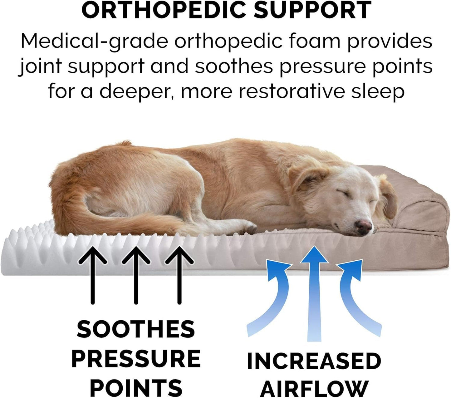 Orthopedic Dog Bed for Large Dogs W/ Removable Bolsters & Washable Cover, for Dogs up to 95 Lbs - Plush & Suede Sofa - Almondine, Jumbo/Xl - pet needs313105435456Orthopedic Dog Bed for Large Dogs W/ Removable Bolsters & Washable Cover, for Dogs up to 95 Lbs - Plush & Suede Sofa - Almondine, Jumbo/XlAlmondine40.0"L X 32.0"W X 8.0"Th40.0"L X 32.0"W X 8.0"Thpet needs