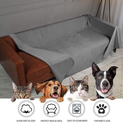 Pet Bed Blanket Reversible 100% Waterproof Velvet Super Soft for Sofa and Bed (40X60 Inches, Light Grey+Grey) - pet needs313043197140Pet Bed Blanket Reversible 100% Waterproof Velvet Super Soft for Sofa and Bed (40X60 Inches, Light Grey+Grey)Light Grey+Grey40X60 Inches40X60 Inchespet needs