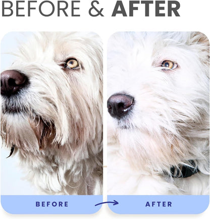 PRO Formula Berry Blue Brightening Pet Shampoo - Ultra - Hydrating Professional Whitening Dog Shampoo, Vivid Show - Quality Coat Enhancer, Tear Stain & Odor Eliminator with Provitamin B5 16Oz - pet needs7445054181160PRO Formula Berry Blue Brightening Pet Shampoo - Ultra - Hydrating Professional Whitening Dog Shampoo, Vivid Show - Quality Coat Enhancer, Tear Stain & Odor Eliminator with Provitamin B5 16OzBerry Blue Shampoo 16Ozpet needs