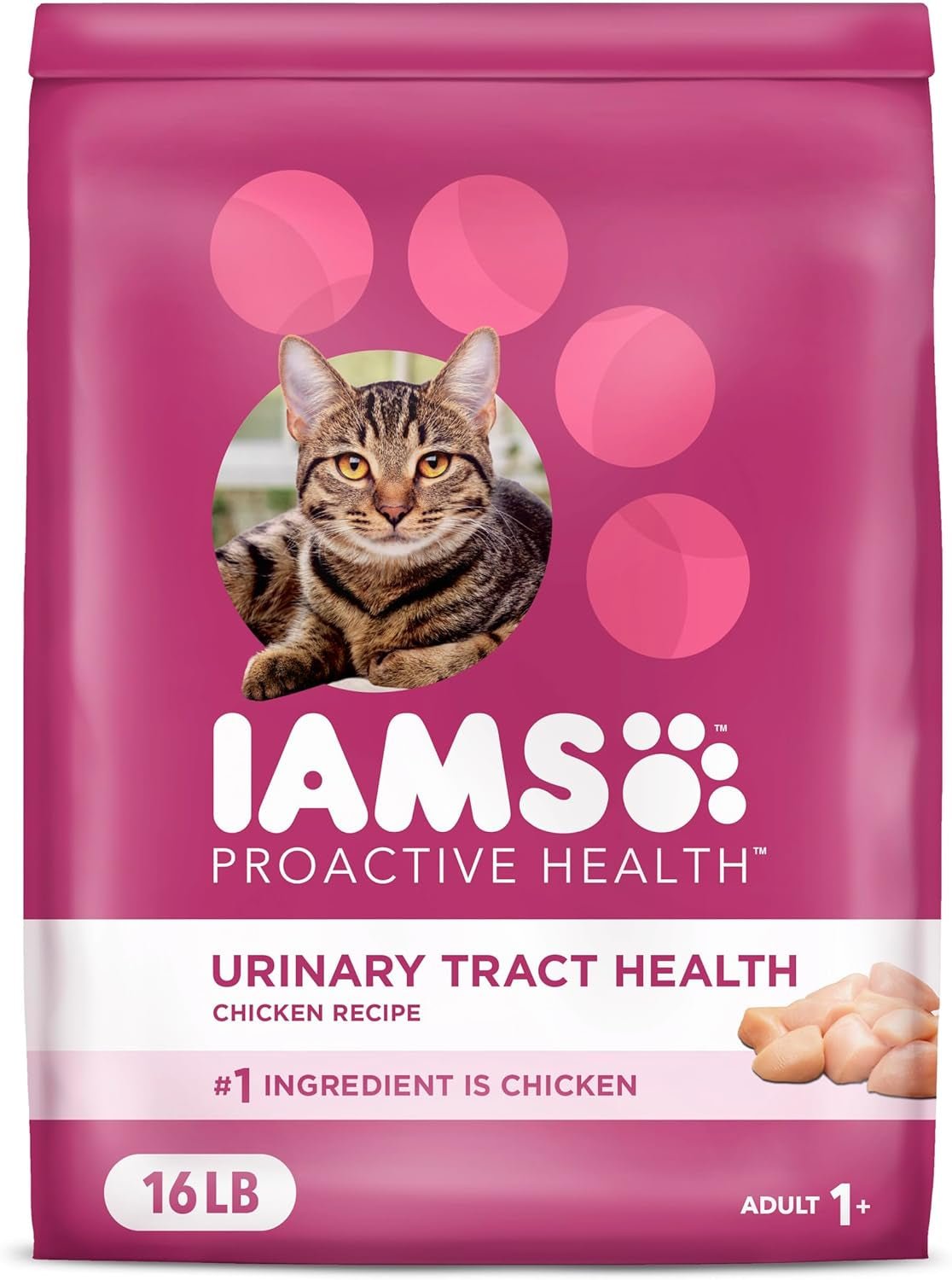 Proactive Health Adult Urinary Tract Healthy Dry Cat Food with Chicken, 16 Lb. Bag - pet needs313021094041Proactive Health Adult Urinary Tract Healthy Dry Cat Food with Chicken, 16 Lb. BagChicken16 Pound (Pack Of 1)16 Pound (Pack Of 1)pet needs