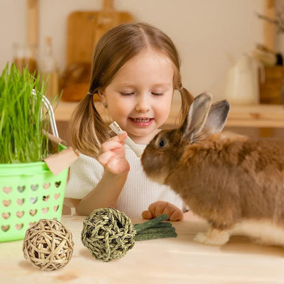 Rabbit Toys Bunny/Guinea Pig Toys Natural Timothy Hay Hamster for Teeth Handmade Chews and Treats Apple Wood Sticks Chinchilla Rat - pet needs313103166154Rabbit Toys Bunny/Guinea Pig Toys Natural Timothy Hay Hamster for Teeth Handmade Chews and Treats Apple Wood Sticks Chinchilla RatStyle1pet needs