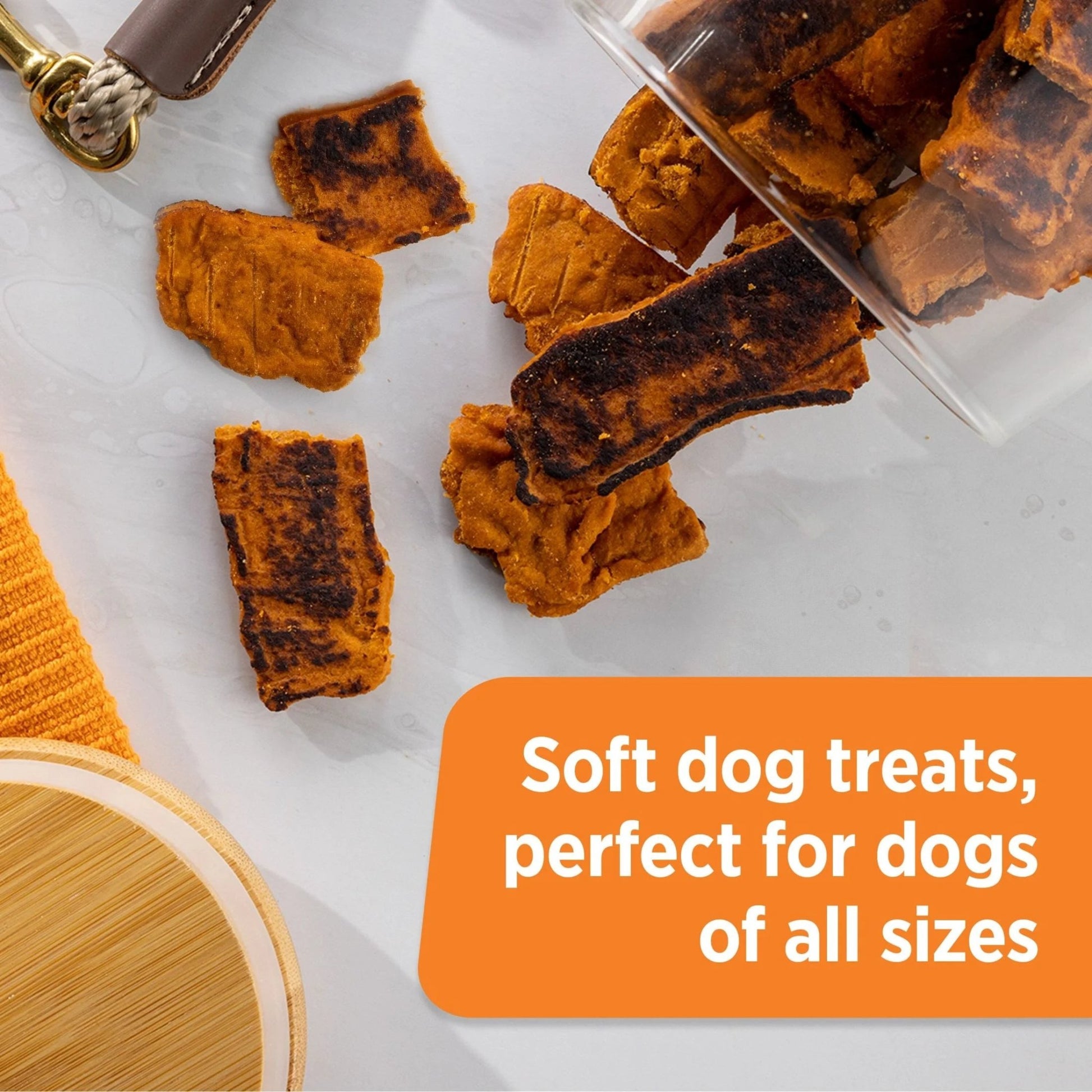 Rachael Ray Turkey Bites Dry Dog Treats, Turkey & Hickory Smoke Bacon Soft Treats, 5 Oz. Pouch - pet needs744110073034Rachael Ray Turkey Bites Dry Dog Treats, Turkey & Hickory Smoke Bacon Soft Treats, 5 Oz. PouchHickory Smoked Baconpet needs
