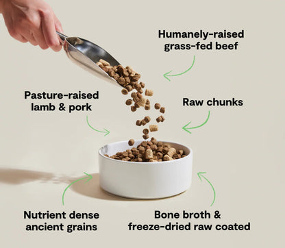 Rawmix Front Range Ancient Grains Dog Kibble - pet needs7445046366308Rawmix Front Range Ancient Grains Dog Kibble3.5 Lbpet needs