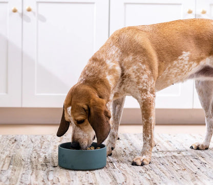 Rawmix Tide & Terrain Freeze Dried Raw Morsels for Dogs - pet needs711181542103Rawmix Tide & Terrain Freeze Dried Raw Morsels for Dogs13.5 Ozpet needs