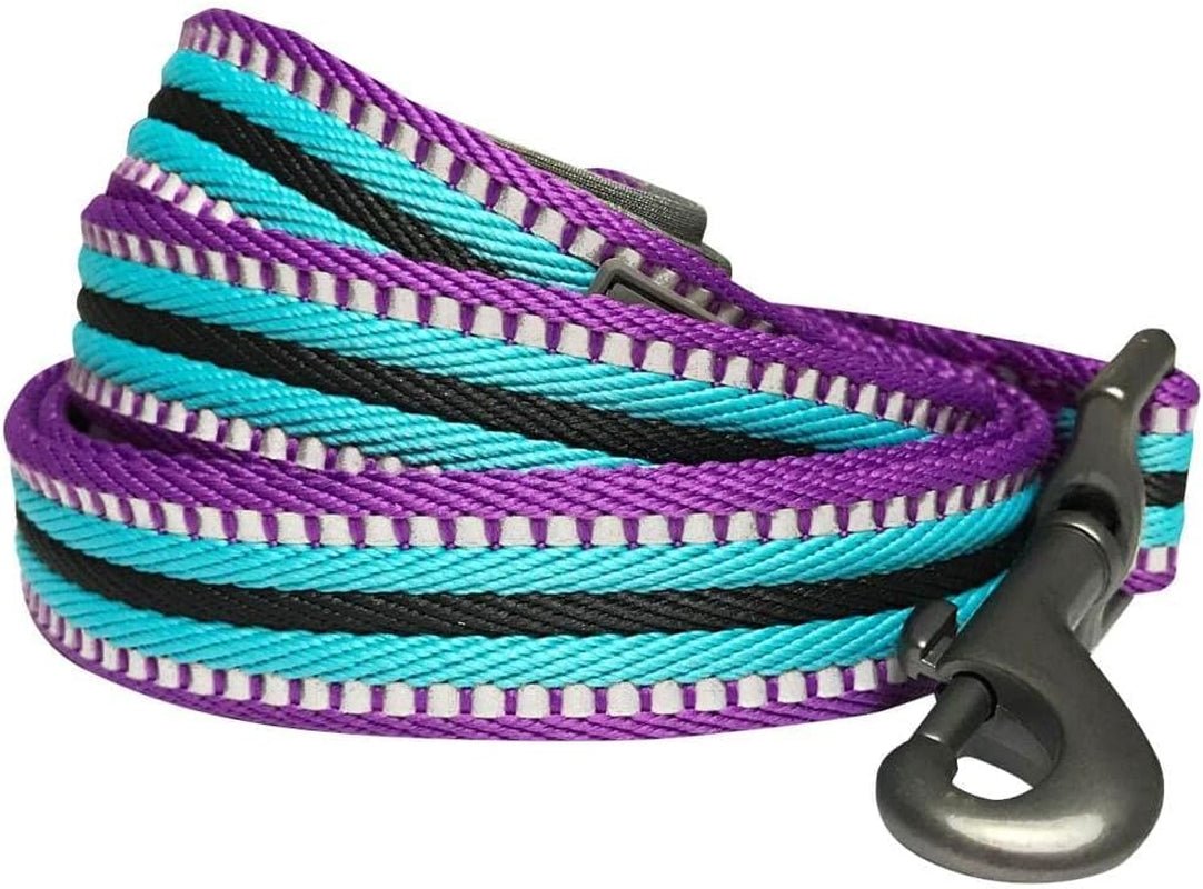 Reflective Dog Leash for Active Adventures, Puppy Essentials, Durable Leashes Heavy Duty, Gentle Leader for Dogs, Small Sizes, Violet & Celeste - pet needs705353145087Reflective Dog Leash for Active Adventures, Puppy Essentials, Durable Leashes Heavy Duty, Gentle Leader for Dogs, Small Sizes, Violet & Celestepet needs