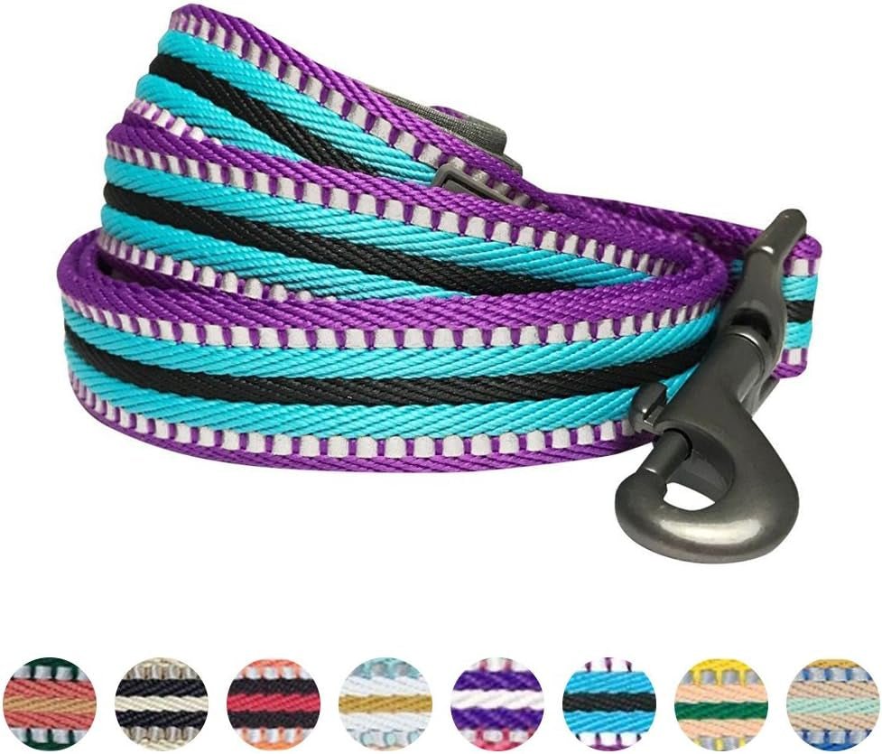 Reflective Dog Leash for Active Adventures, Puppy Essentials, Durable Leashes Heavy Duty, Gentle Leader for Dogs, Small Sizes, Violet & Celeste - pet needs705353145087Reflective Dog Leash for Active Adventures, Puppy Essentials, Durable Leashes Heavy Duty, Gentle Leader for Dogs, Small Sizes, Violet & Celestepet needs