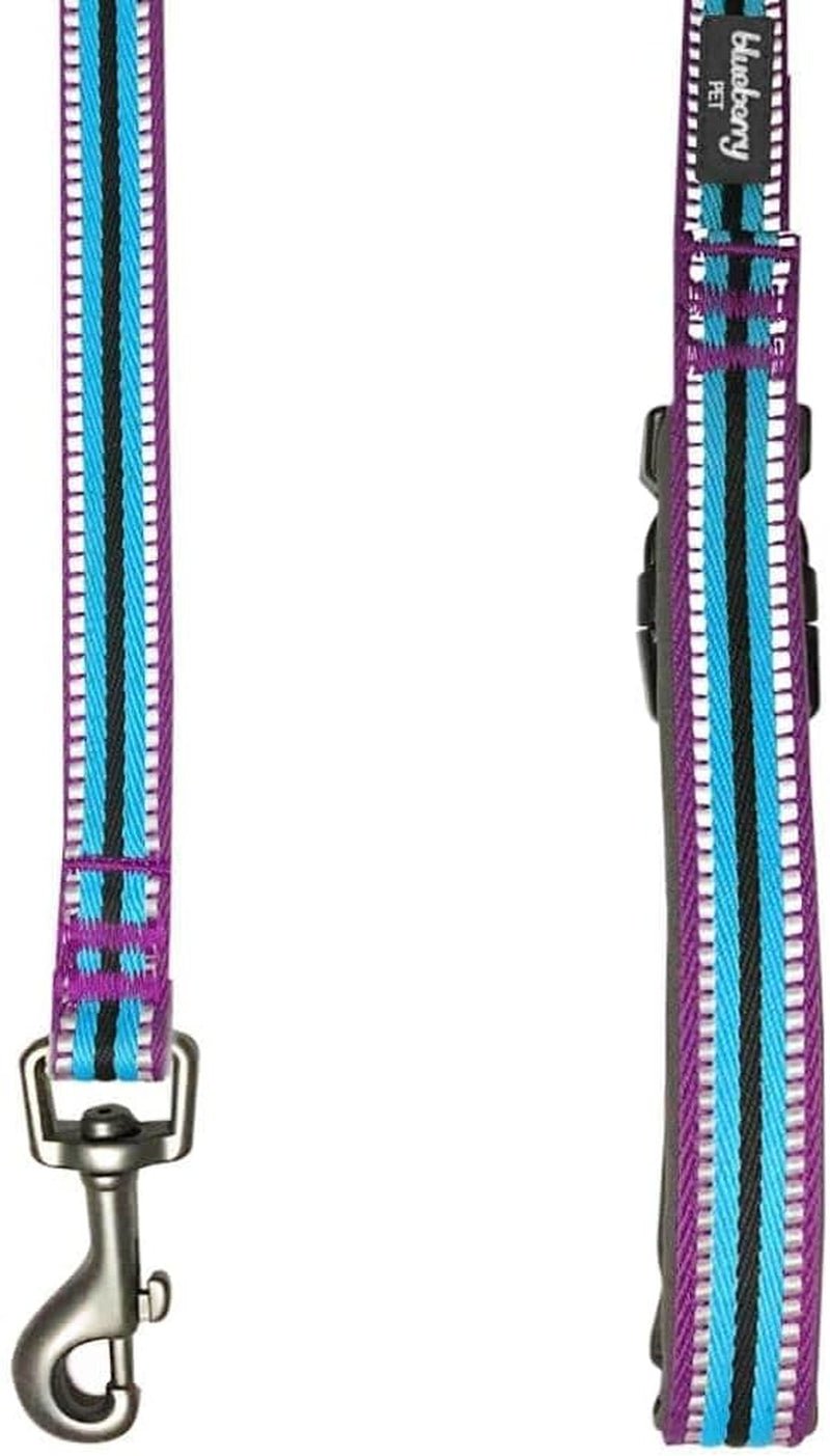 Reflective Dog Leash for Active Adventures, Puppy Essentials, Durable Leashes Heavy Duty, Gentle Leader for Dogs, Small Sizes, Violet & Celeste - pet needs705353145087Reflective Dog Leash for Active Adventures, Puppy Essentials, Durable Leashes Heavy Duty, Gentle Leader for Dogs, Small Sizes, Violet & Celestepet needs