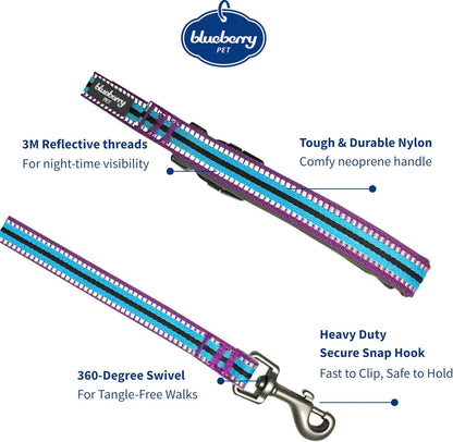 Reflective Dog Leash for Active Adventures, Puppy Essentials, Durable Leashes Heavy Duty, Gentle Leader for Dogs, Small Sizes, Violet & Celeste - pet needs705353145087Reflective Dog Leash for Active Adventures, Puppy Essentials, Durable Leashes Heavy Duty, Gentle Leader for Dogs, Small Sizes, Violet & Celestepet needs