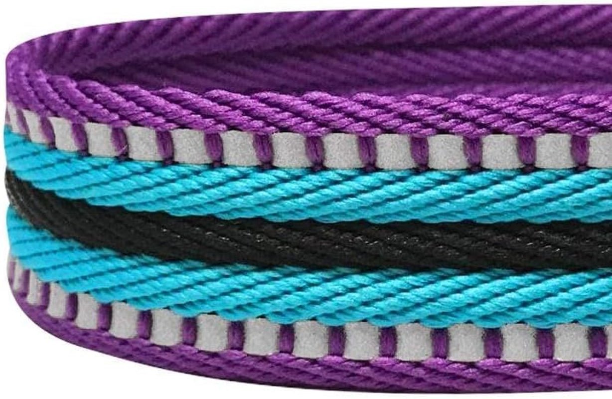 Reflective Dog Leash for Active Adventures, Puppy Essentials, Durable Leashes Heavy Duty, Gentle Leader for Dogs, Small Sizes, Violet & Celeste - pet needs705353145087Reflective Dog Leash for Active Adventures, Puppy Essentials, Durable Leashes Heavy Duty, Gentle Leader for Dogs, Small Sizes, Violet & Celestepet needs