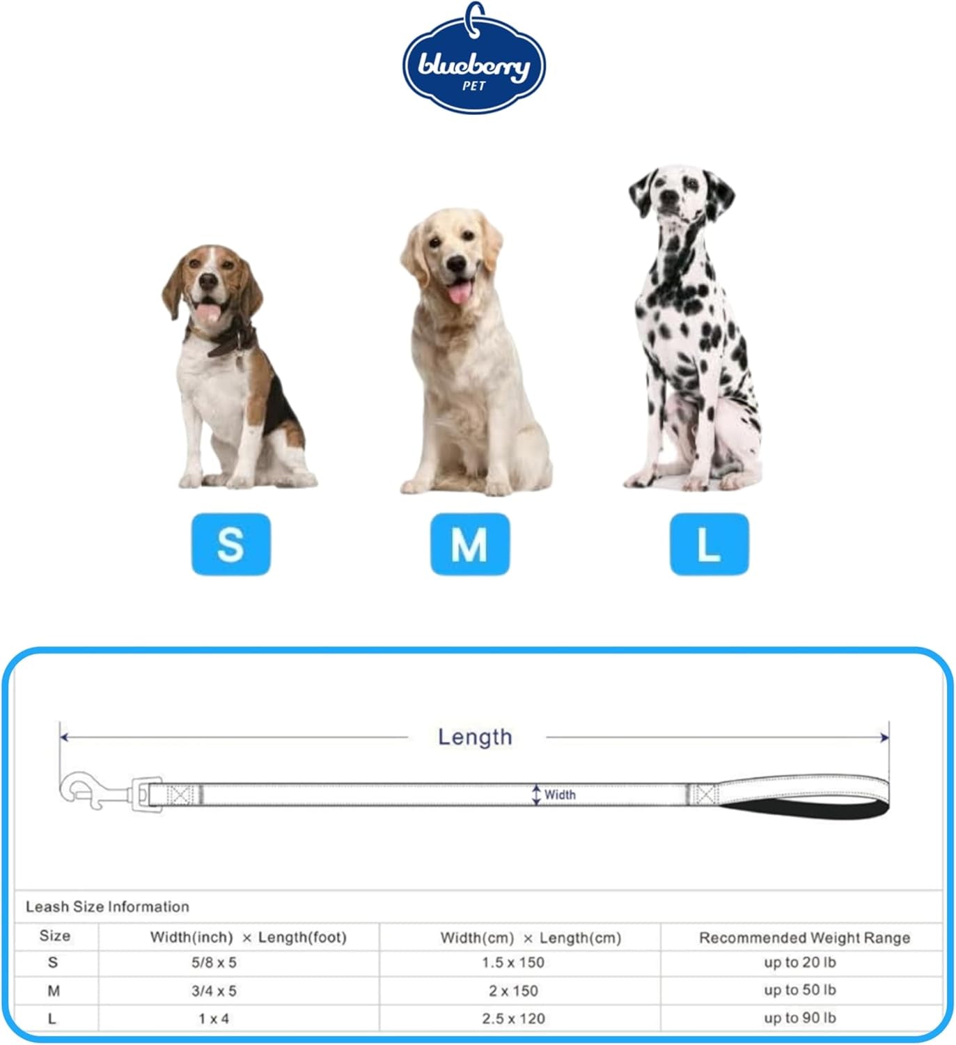 Reflective Dog Leash for Active Adventures, Puppy Essentials, Durable Leashes Heavy Duty, Gentle Leader for Dogs, Small Sizes, Violet & Celeste - pet needs705353145087Reflective Dog Leash for Active Adventures, Puppy Essentials, Durable Leashes Heavy Duty, Gentle Leader for Dogs, Small Sizes, Violet & Celestepet needs